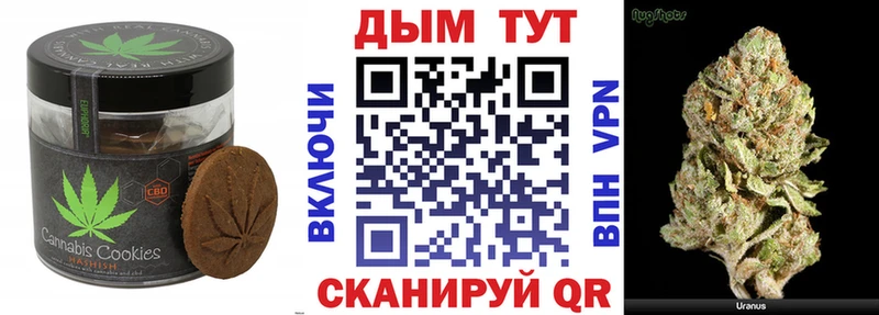 продажа наркотиков  Ялуторовск  Canna-Cookies конопля 