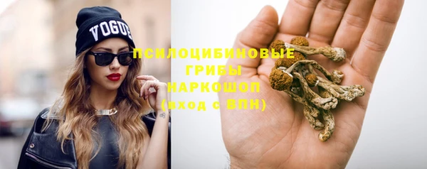 альфа пвп Белокуриха