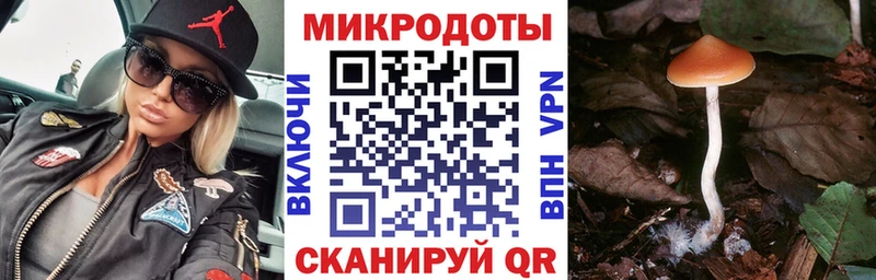 цены   Ялуторовск  Псилоцибиновые грибы прущие грибы 